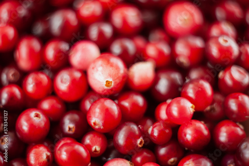Cranberry. Small forest red berry. A scattering of cranberries. Vitamins from nature