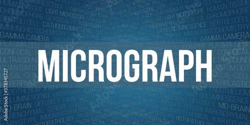 micrograph photo