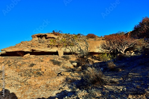 southern landscapes