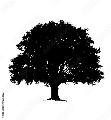 vector tree illustration silhouette icon