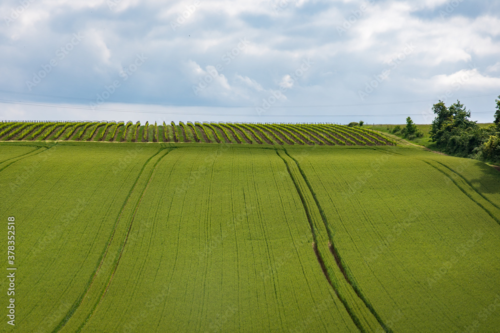 Obraz premium France, Lot et Garonne, Xantrailles 16-05-18 (1) 