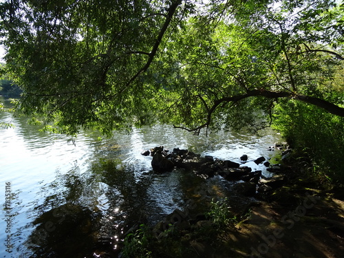 Licht und Schatten am Fluss