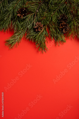 Christmas fir branches with copy space on red background