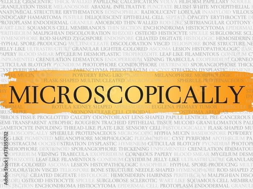 Photos microscopically
