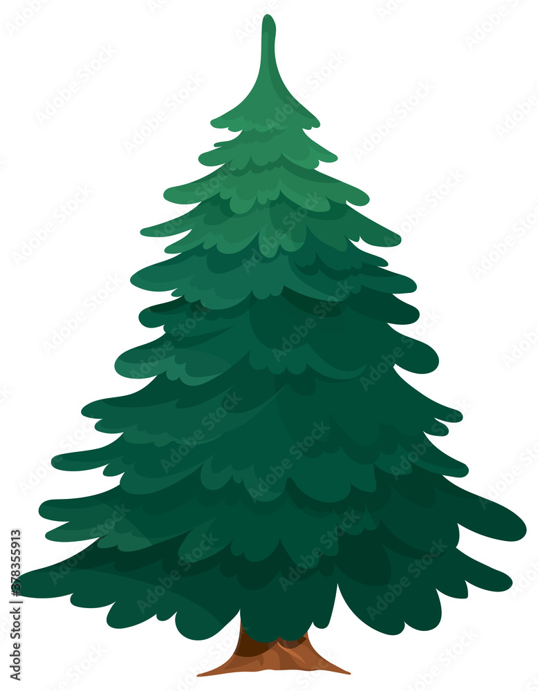 Obraz premium Evergreen tree isolated on white background. Conifer in cartoon style.