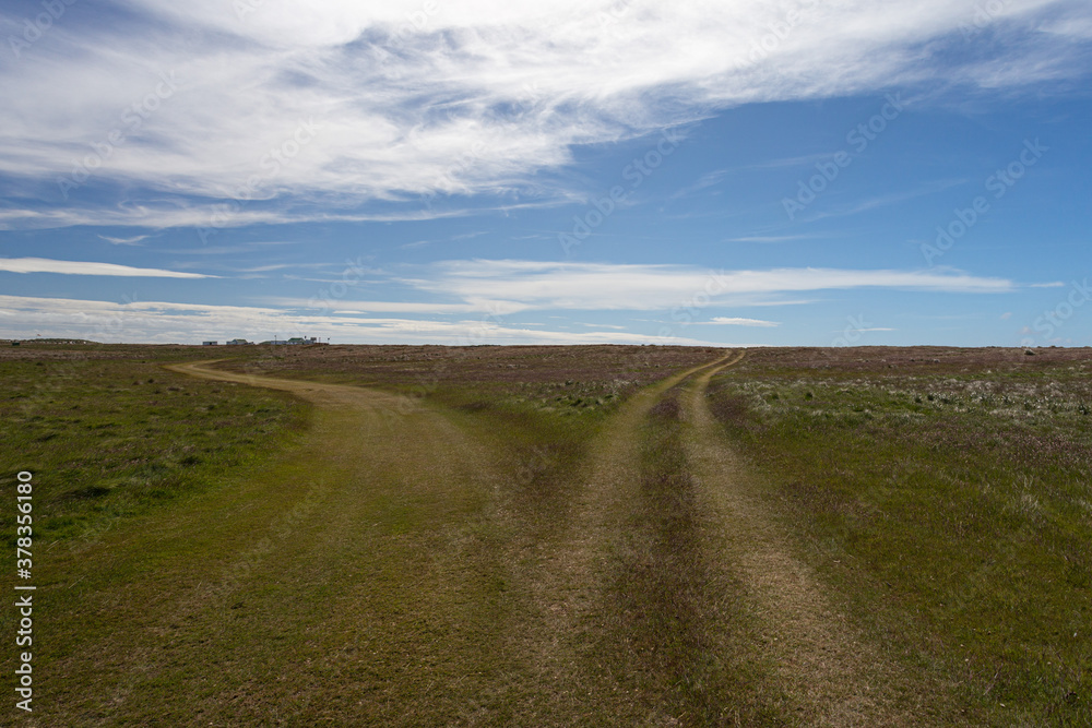 Roads on Sea Lion Island, Falkland Islands