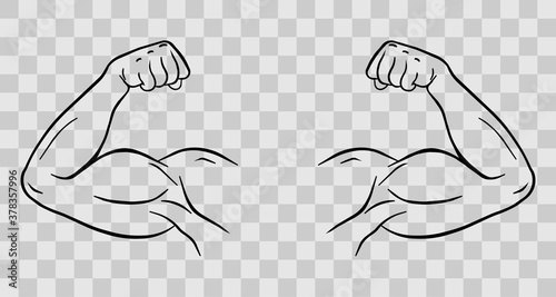 Biceps of a sports person vector fit. Body muscle flexing or strong biceps logo. Vector illustration