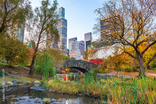 Photography Central Park during autumn in New York City
