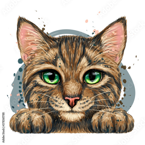 Kitten. Wall sticker. Color, graphic, artistic drawing of a cute striped kitten is pretty squinting. Separate layer