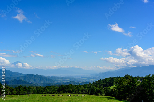 真夏の八ヶ岳 牧場と富士山