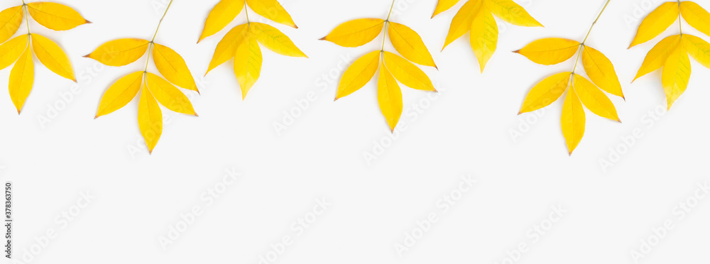 Autumn composition. Autumn leaves on white background. Flat lay, top view, copy space
Autumn composition. Autumn leaves on white background. Flat lay, top view, copy space