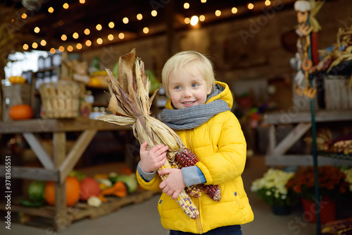 Glad boy holding colorful ears of indian corn at the seasonal agricultural fair photo