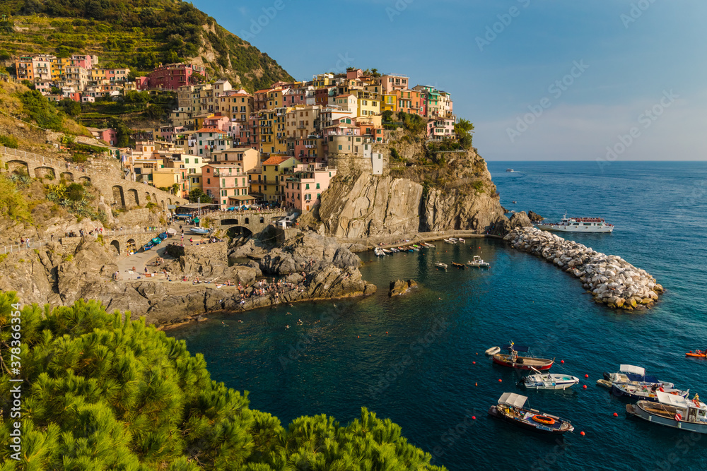 Stunning close-up landscape view of the historic colourful houses on the cliff in Manarola and the marina with the boats and ships below. The conifer bush in the foreground gives the image more depth.