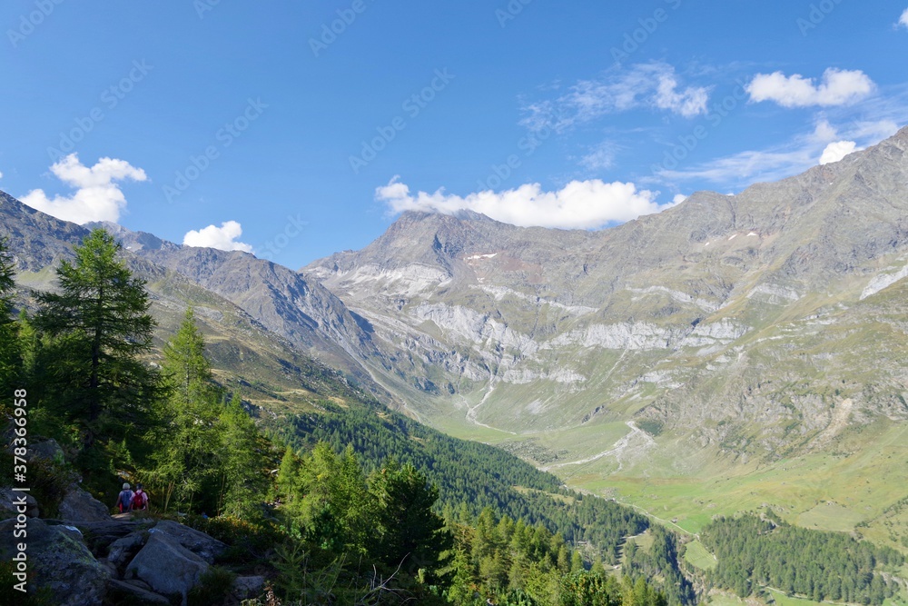 Berglandschaft im Passeiertal