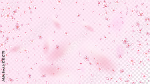 Nice Sakura Blossom Isolated Vector. Tender Falling 3d Petals Wedding Frame. Japanese Funky Flowers Illustration. Valentine, Mother's Day Magic Nice Sakura Blossom Isolated on Rose