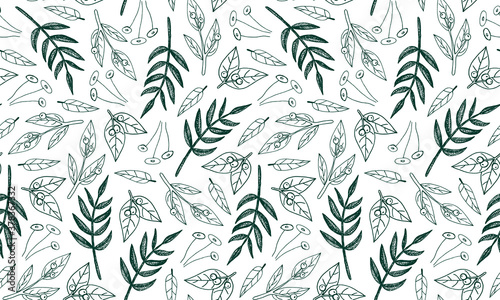Plant branches and leaves. Hand drawn doodle illustration. Seamless pattern with vector elements. Natural template for autumn design, print, greeting card, sticker pack