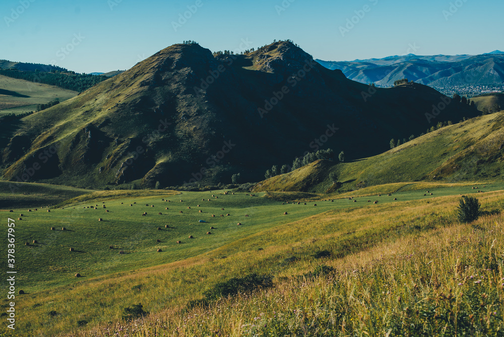 agriculture in alpine meadows