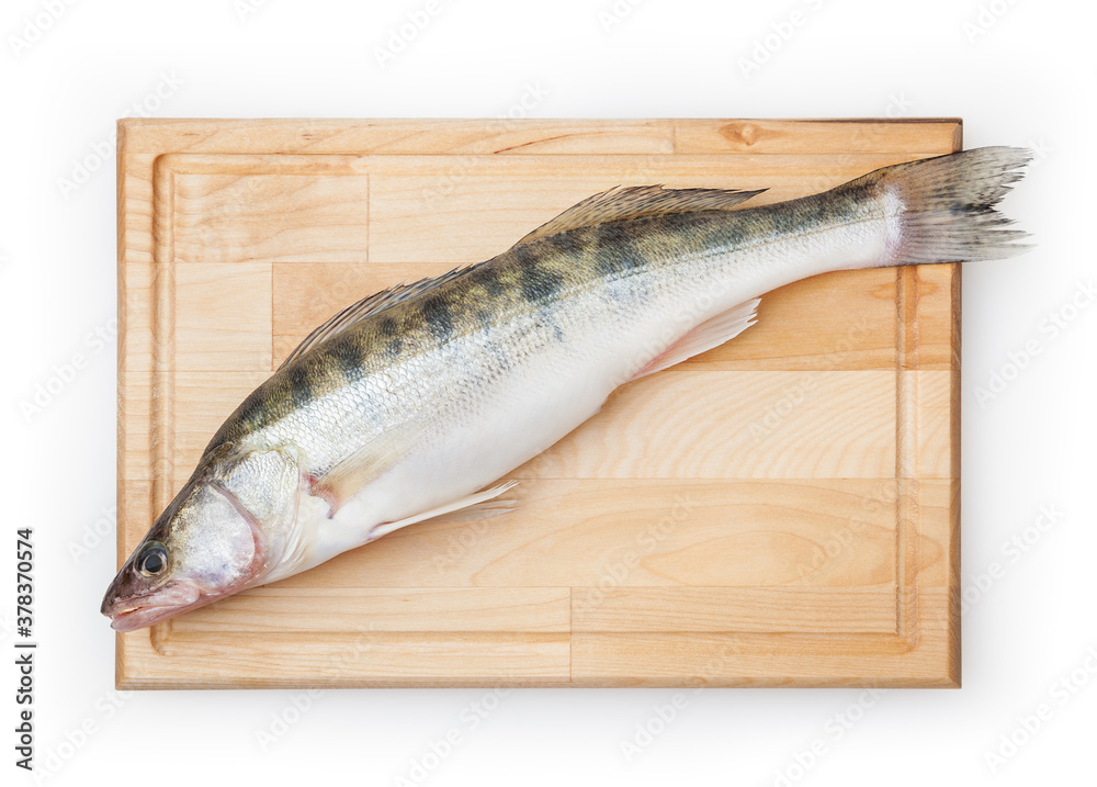 Fresh uncooked pike perch on wooden board isolated on white background with clipping path