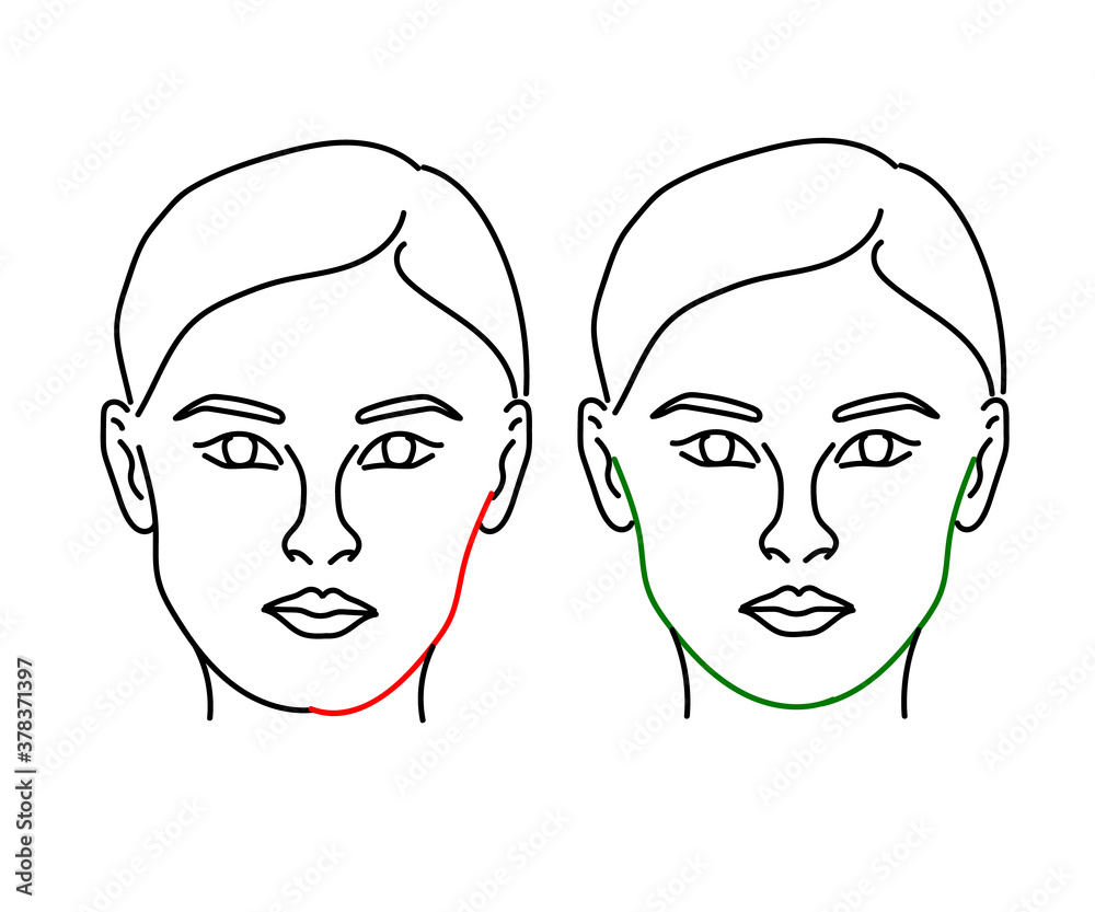Woman's face on a white background. Face and cheekbone correction. Vector illustration. Woman's face on a white background. Face and cheekbone correction. Vector illustration.
