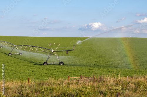 Sunny day Across Nebraska Fields . July 22, 2019, O'Nell, Holt county, Nebraska