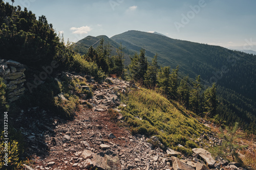 Gorgany ridge in Ukraine Carpathians Mountains. Summer sunny day. Sivulya and Icrovec mountains. photo