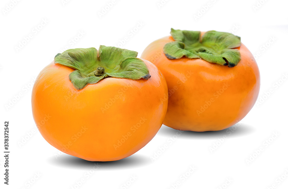 persimmons isolated on the white background persimmons isolated on the white background