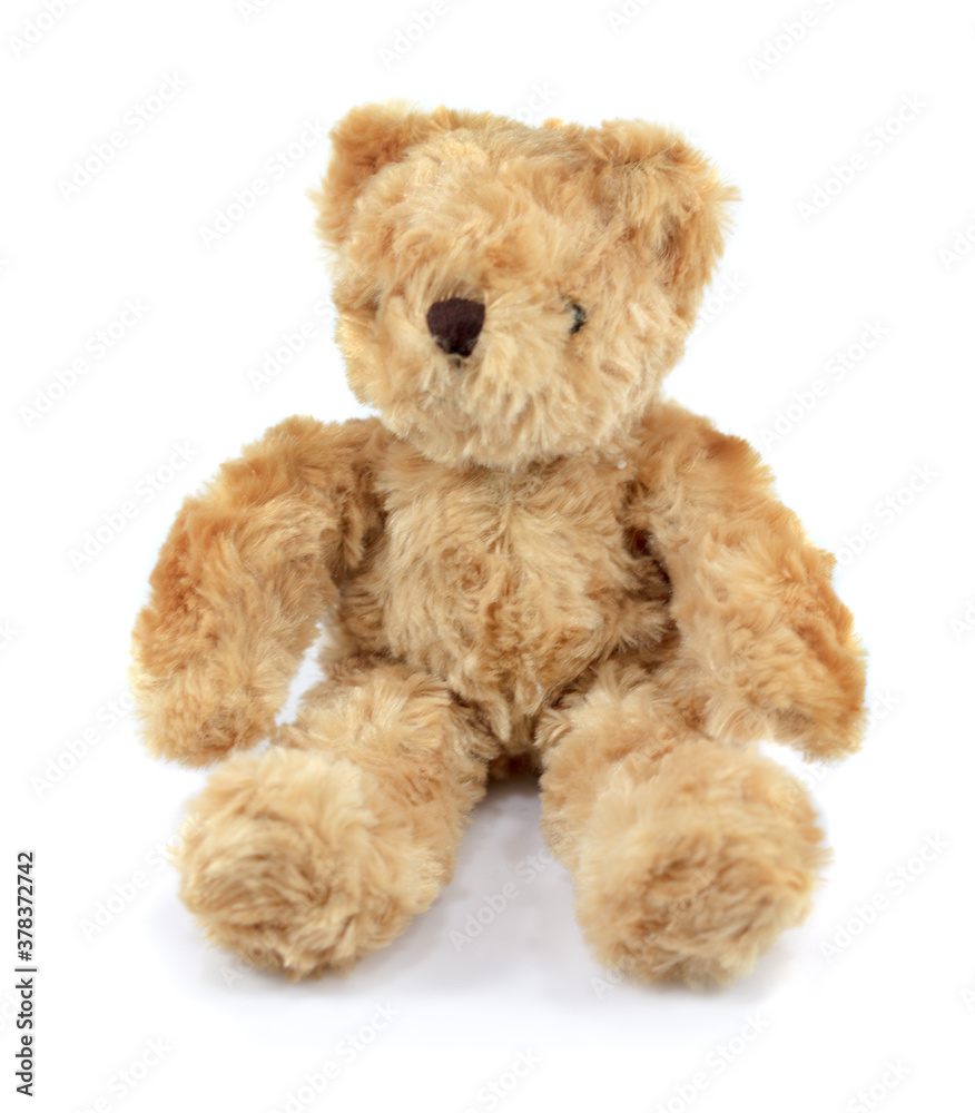 toy teddy isolated on white background