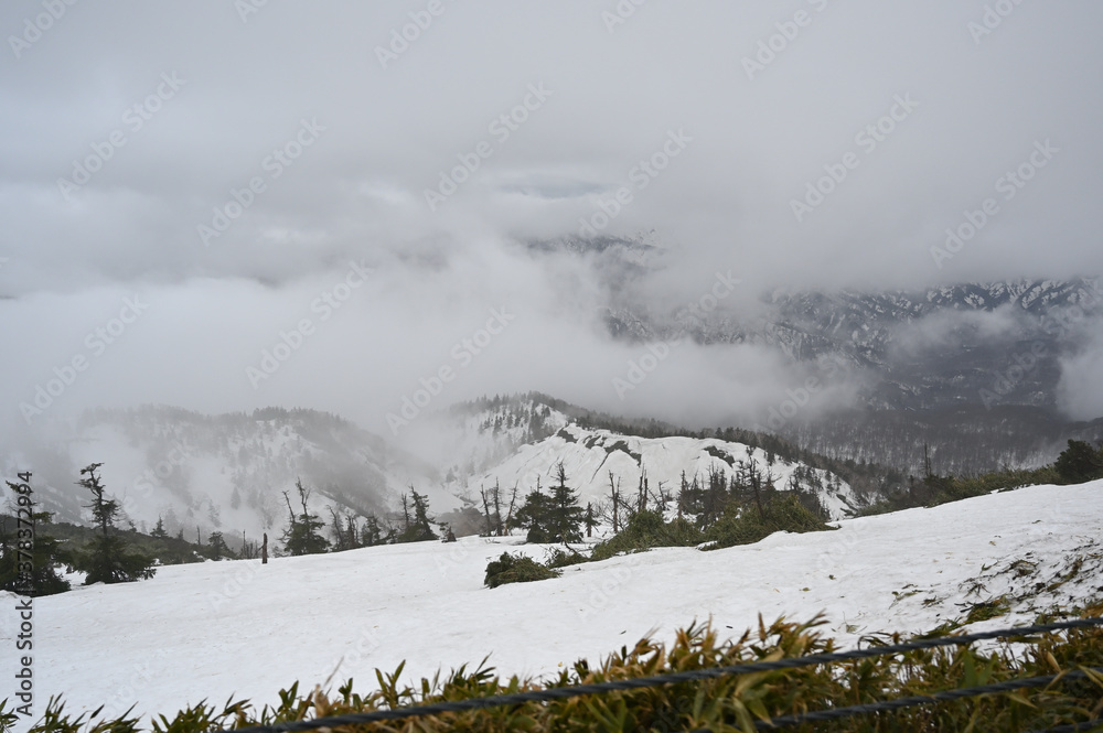 Fototapeta premium 八幡平アスピーテライン