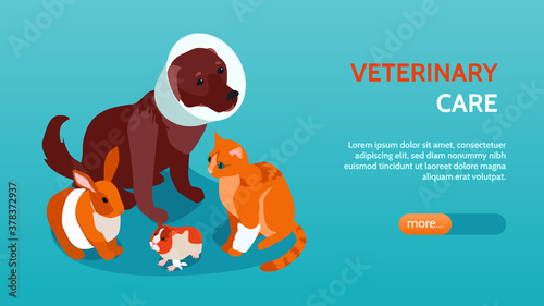 Horizontal And Isometric Veterinary Banner