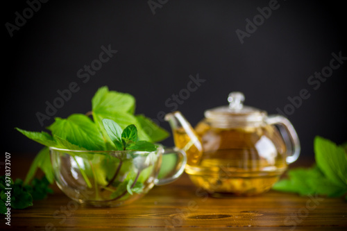 summer refreshing organic tea from currant leaves in a glass teapot