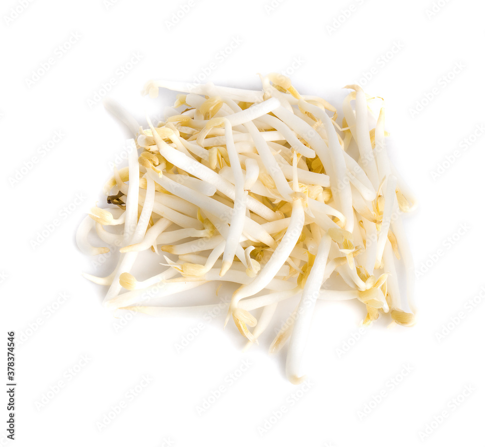 Bean Sprouts isolated on white Background