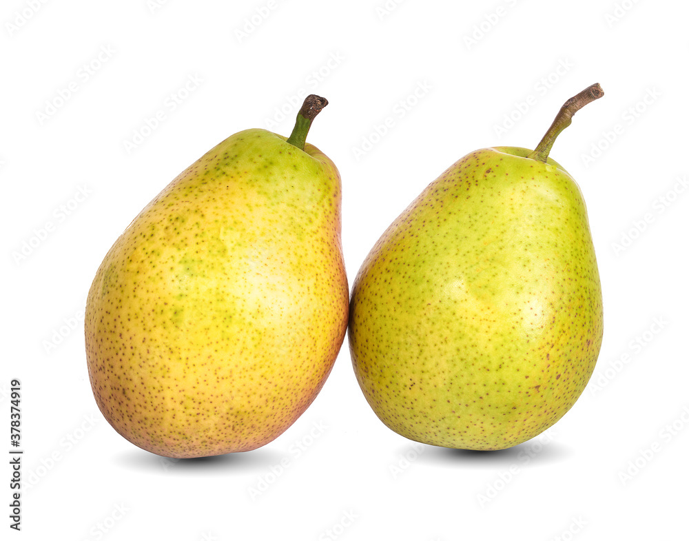 pears path isolated on white background pears path isolated on white background