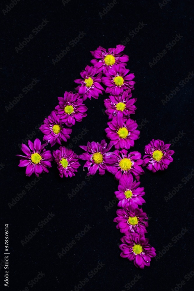 text arranged by purple daisies flowers, black background

N