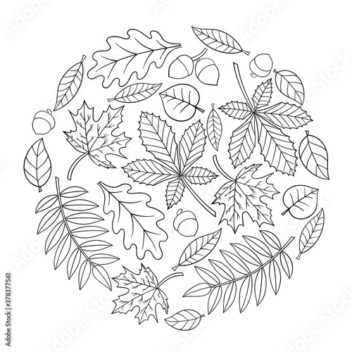 Coloring page with autumn leaves