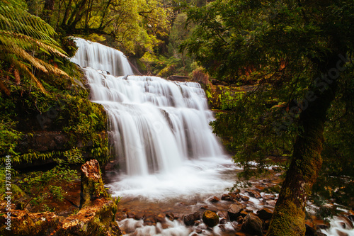 Fototapeta Naklejka Na Ścianę i Meble -  Liffey Falls in Tasmania Australia