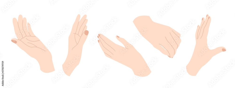 Woman's hands. Hand gestures in different positions. Vector flat cartoon illustration. Perfect for print, cosmetics or manicure branding