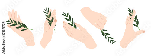 Woman's hands holding branches with leaves. Vector flat cartoon illustration. Perfect for print, cosmetics or manicure branding