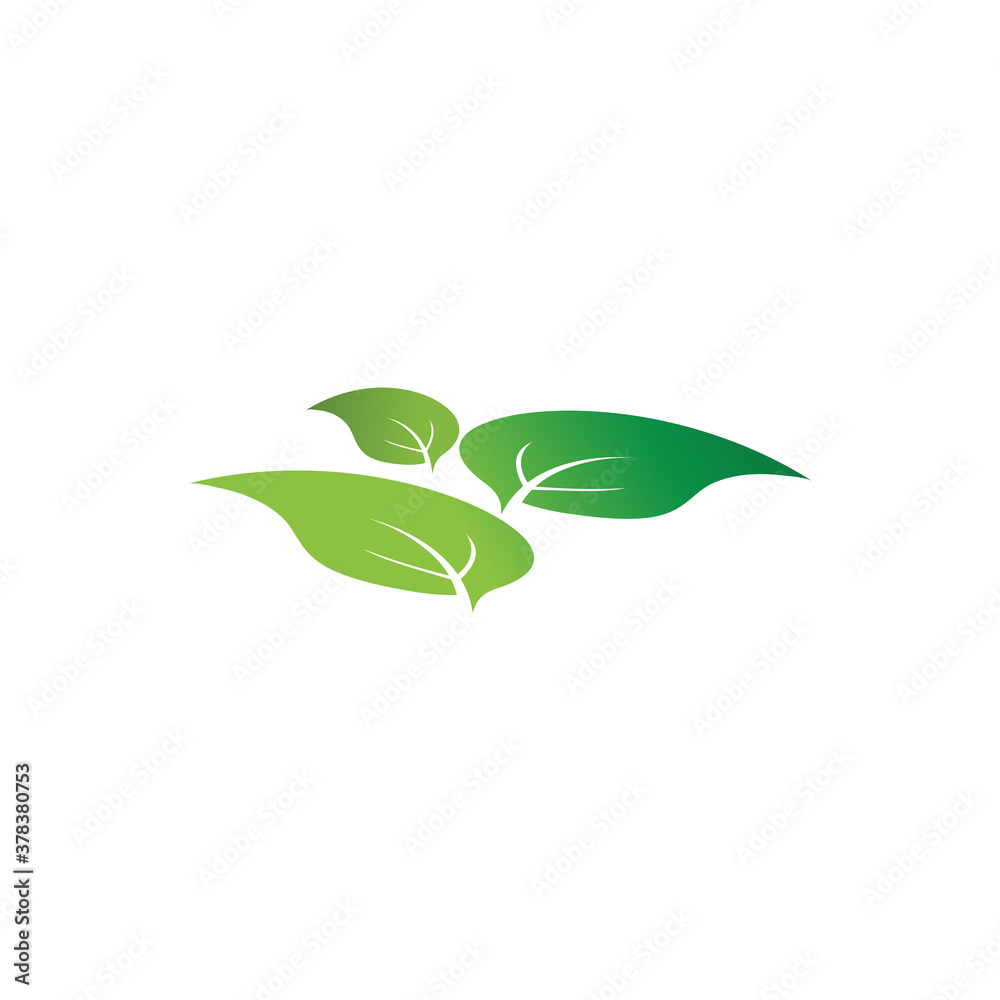 Leaf  ecology Logo Template vector