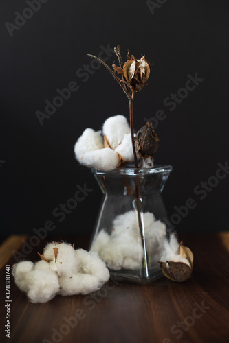 high contrasted in low-key lightning photo of a cotton flowers in a vase over the black background