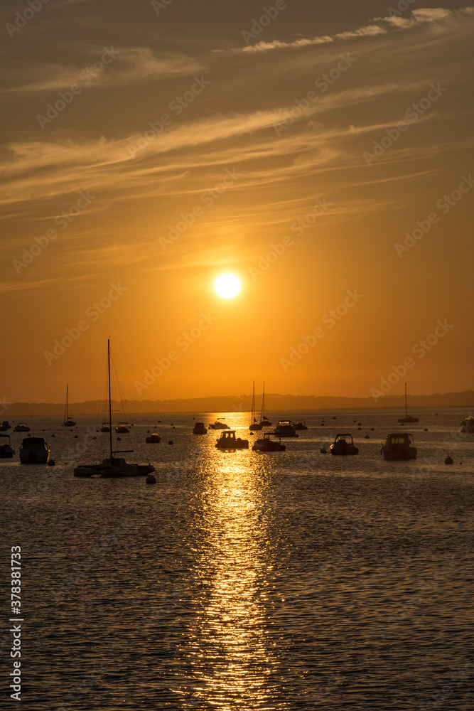 France, Gironde, Bassin d'Arcachon, Arcachon 23-05 (3)
