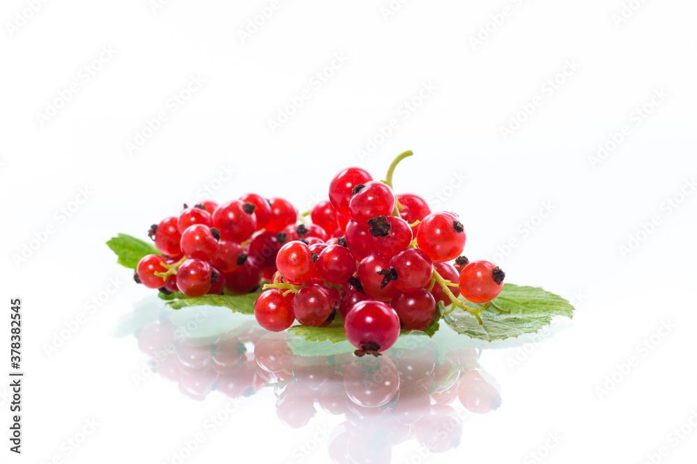 ripe summer berry red currant isolated on white ripe summer berry red currant isolated on white