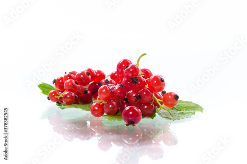 ripe summer berry red currant isolated on white