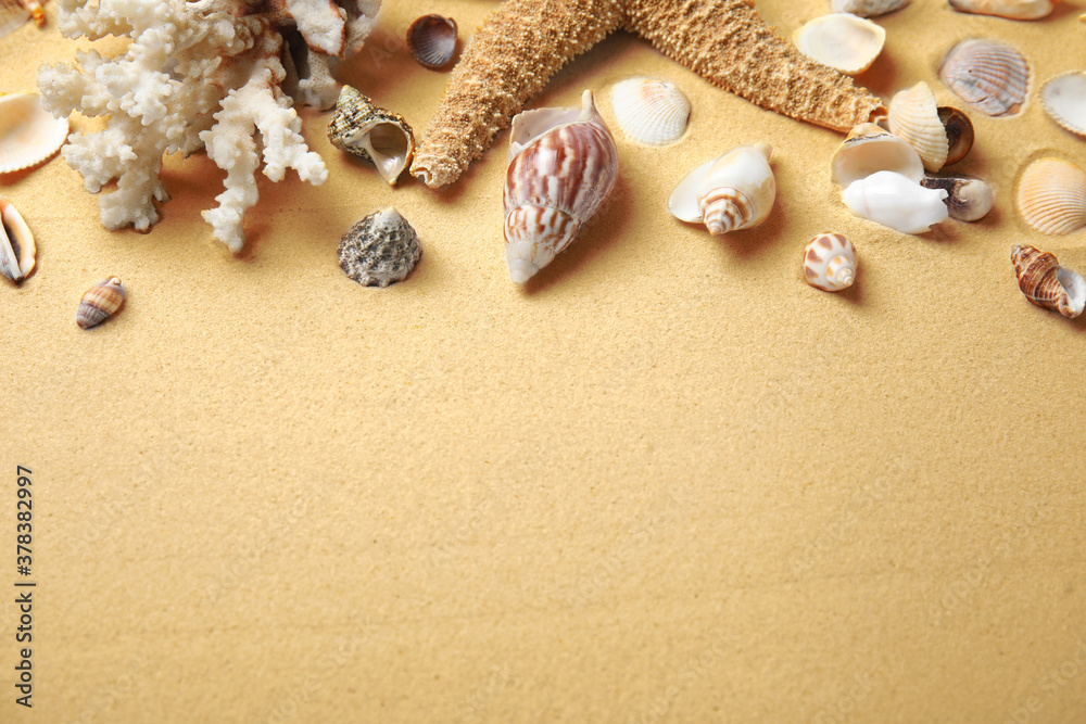 Different beautiful sea shells on sand. Space for text