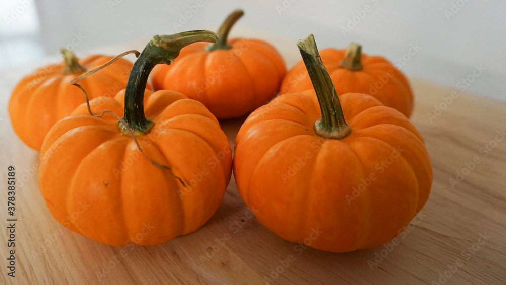 Obraz premium Mini pumpkins on a wooden countertop