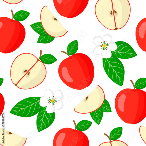 Vector cartoon seamless pattern with Malus domestica or Red apple exotic fruits, flowers and leafs on white background