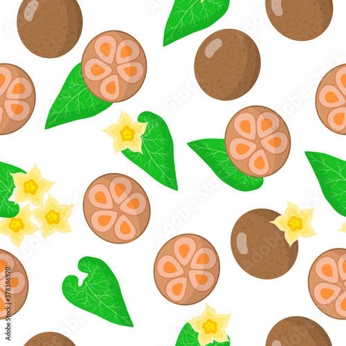 Vector cartoon seamless pattern with Siraitia grosvenorii or Arhat exotic fruits, flowers and leafs on white background