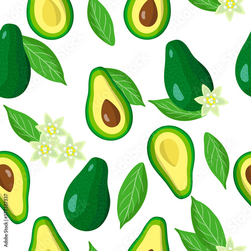 Vector cartoon seamless pattern with Avocado exotic fruits, flowers and leafs on white background
