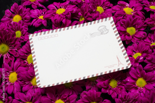 purple daisies and white card with a place for a congratulatory text on a black background