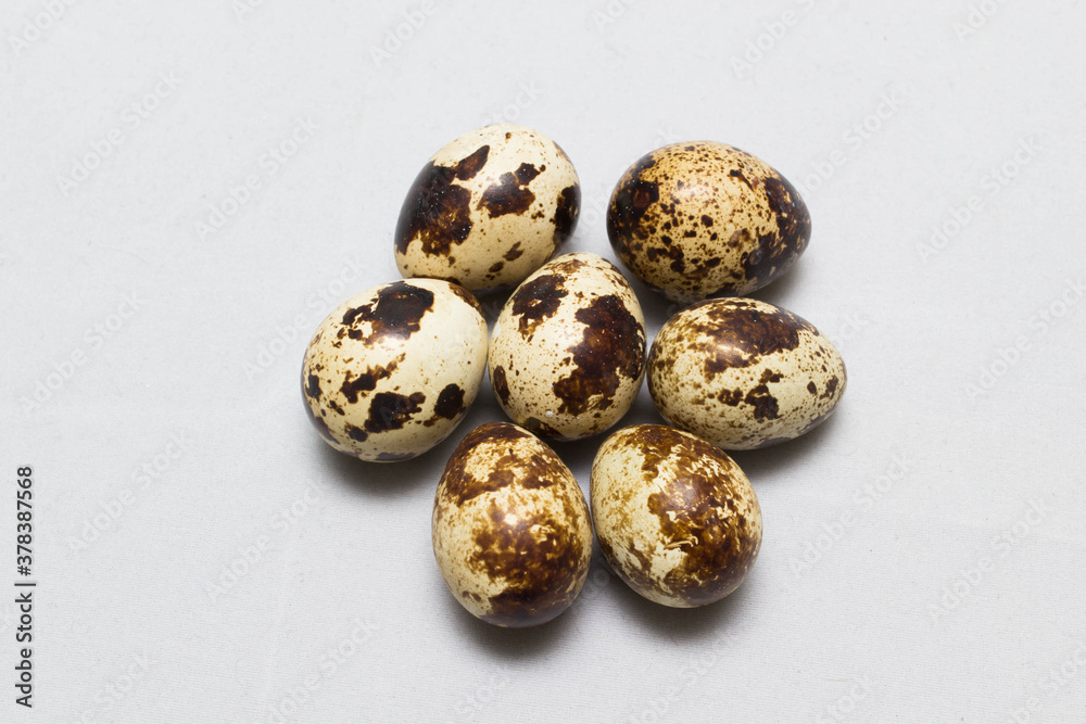 chicken eggs on the table. Farm products, natural eggs. chicken eggs on the table. Farm products, natural eggs.