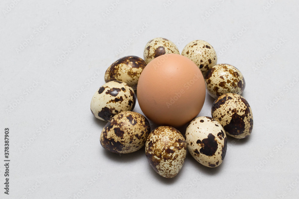 chicken eggs on the table. Farm products, natural eggs.